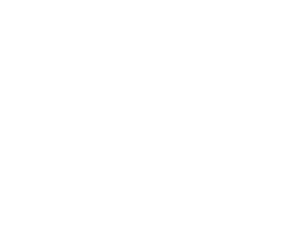 Allplast Laser
