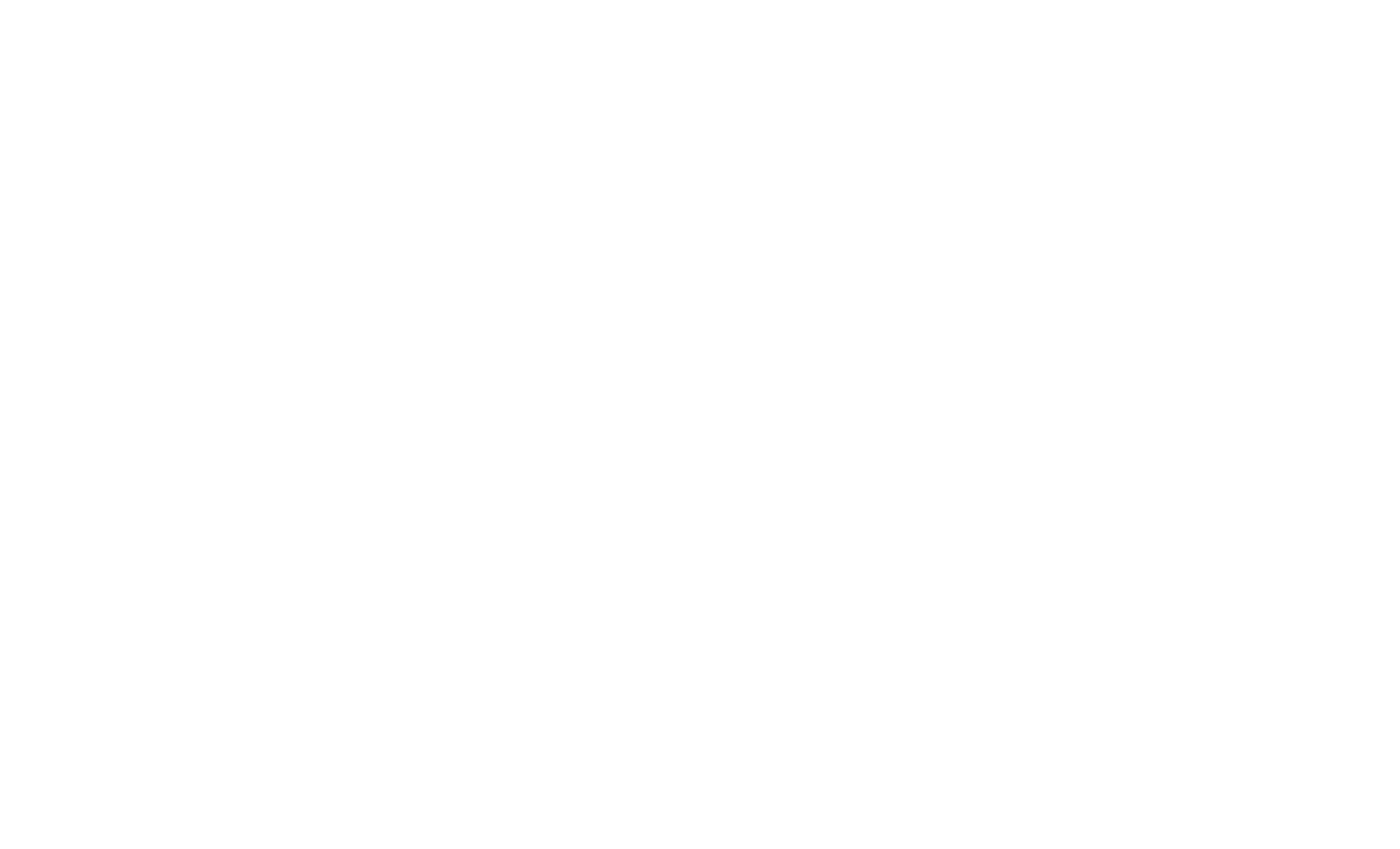 FlyIn BBQ Streetfood